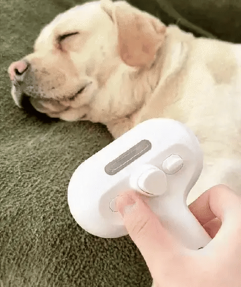 💥Pet Hair Remover Comb | Safe & Easy Hair Removal for Dogs & Cats🐶