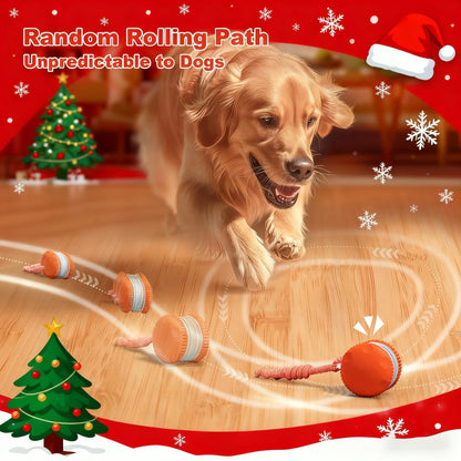 🐾 Skavix™ Smart Buddy Ball