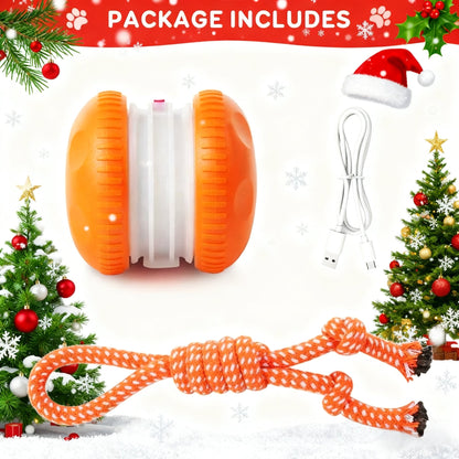 🐾 Skavix™ Smart Buddy Ball