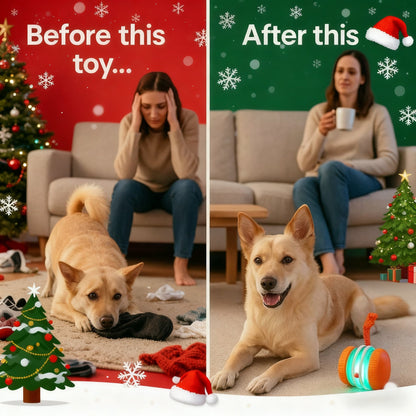 🐾 Skavix™ Smart Buddy Ball