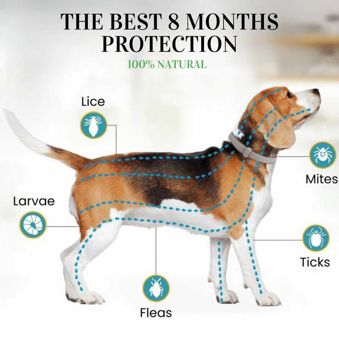 BIO-COLLAR™ - 8 Months Natural Flea & Tick Protection