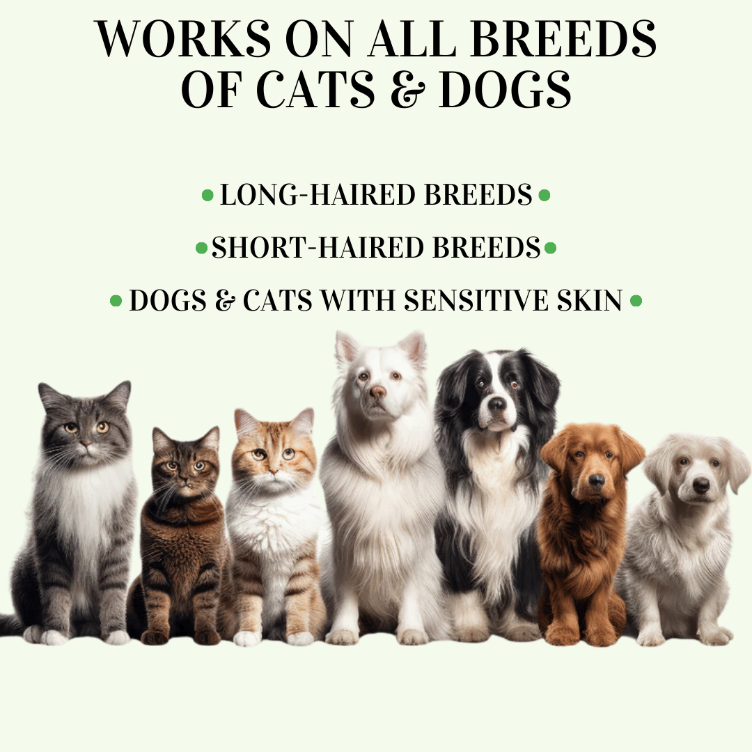 BIO-COLLAR™ - 8 Months Natural Flea & Tick Protection