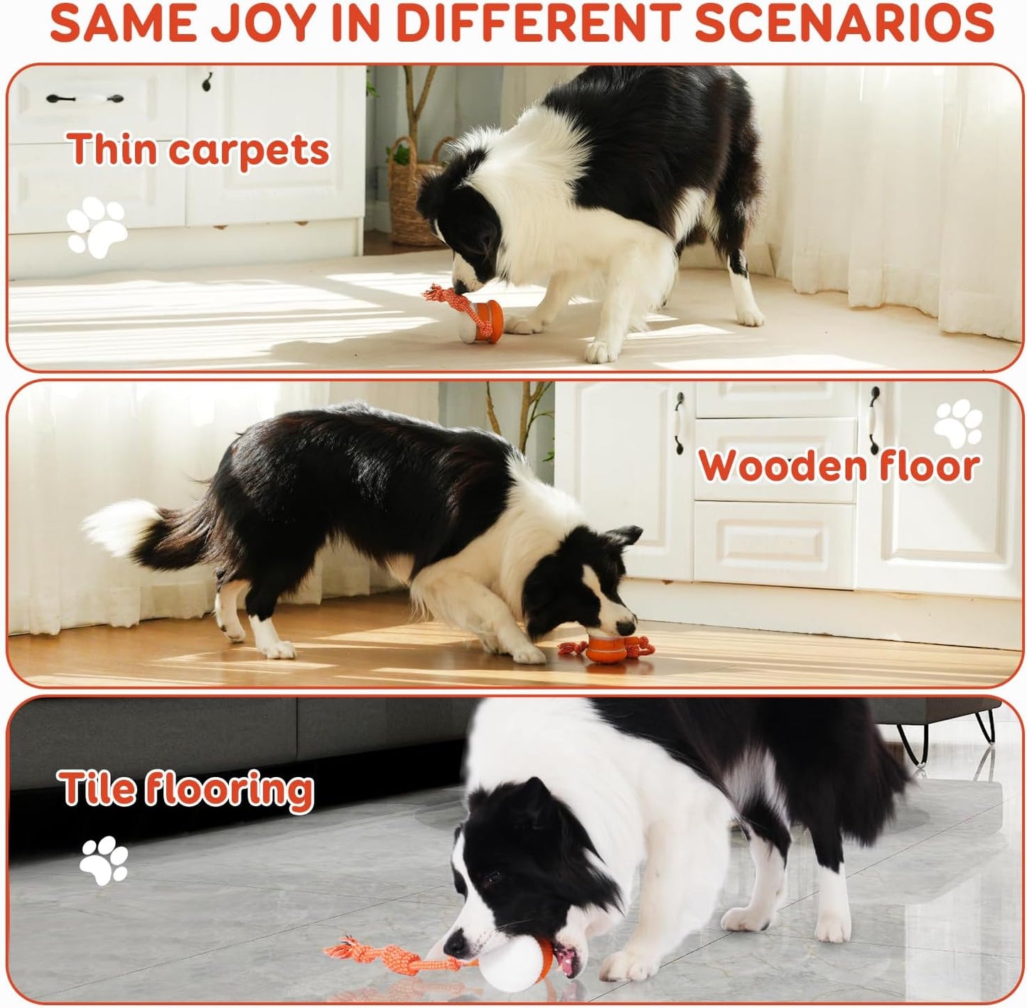 🐾 Skavix™ Smart Buddy Ball