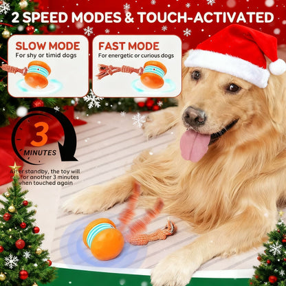 🐾 Skavix™ Smart Buddy Ball