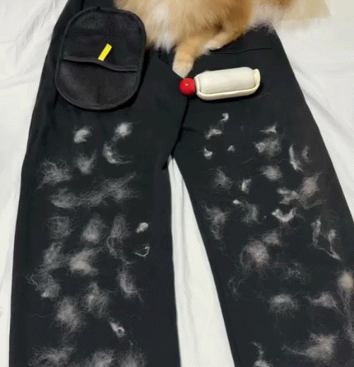 Pet Hair Removal Gloves -Say goodbye to pet hair with this removal tool!