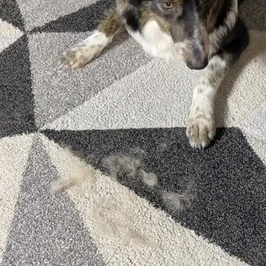 Pet Hair Removal Gloves -Say goodbye to pet hair with this removal tool!
