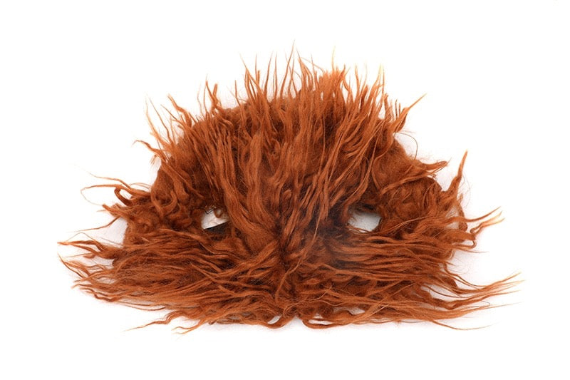 The Funniest Dog Costume Ever Turn Your Dog Into The Star of Halloween