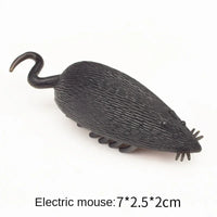 mouse