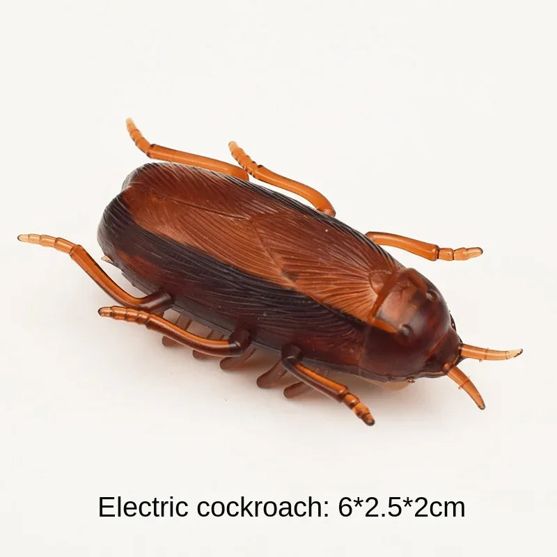 cockroach