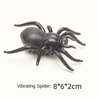 spider